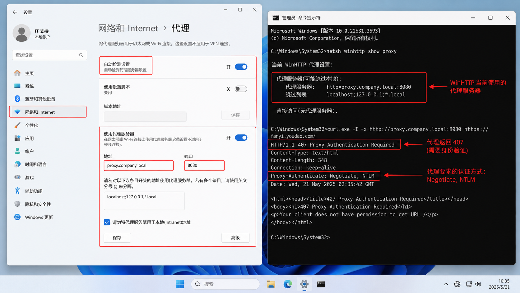 有道翻译 Windows 11代理故障排查，展示系统代理、WinHTTP设置和HTTP 407认证错误