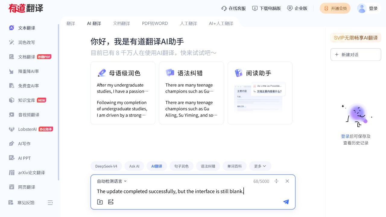 有道翻译网页版左侧输入英文原文的真实操作界面